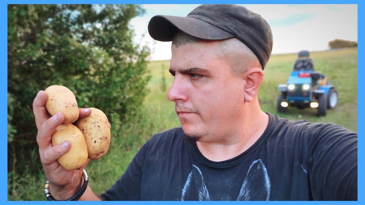 ПЕРВЫЙ КАРТОФЕЛЬ 2022! Кажется урожай))) смотреть онлайн