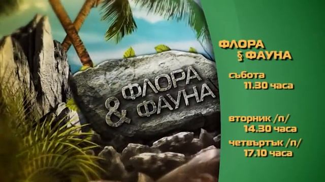 АВТОРЕКЛАМА на ФЛОРА и ФАУНА по АГРО ТВ/ 07 02 2015 смотреть онлайн