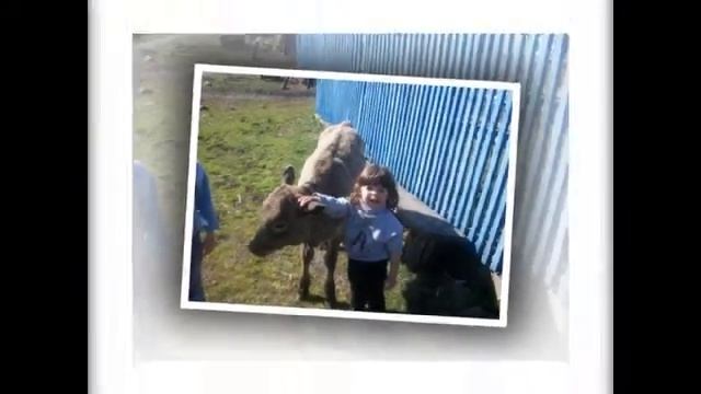 Лилия Черногорск смотреть онлайн