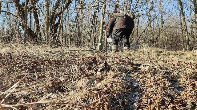 ПЕРВЫЕ ВПЕЧАТЛЕНИЯ Stihl 180 Одно слово - КАЙФ! смотреть онлайн