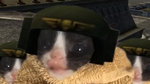 Вперёд собаки к победе(1 час 8 секунд)