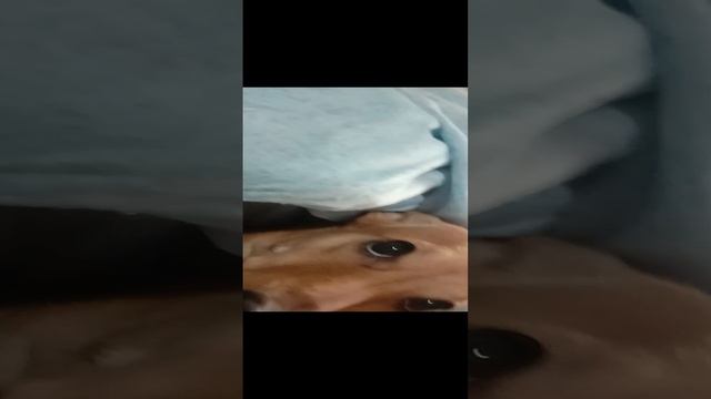 приветик моя любимый потписик