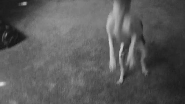 Princess & Selena смотреть онлайн