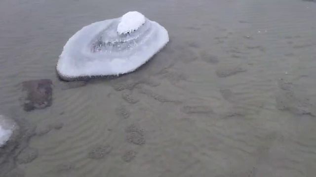 ПРОВАЛИЛСЯ КУЧУ РАЗ ПОД ЛЁД!🥶 ХОДИМ ПО МОРЮ!#1🌊❄️