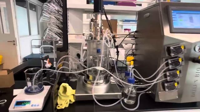 How to use a bailun bio 5L fermenter that requires autoclave sterilization смотреть онлайн