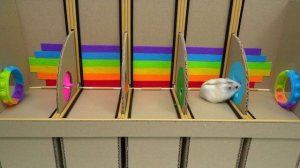 Видео для детей Побег из Шоушенка 2 или хомяк сбегает из Pop It лабиринта