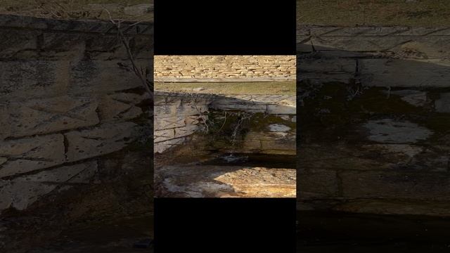 Такую красоту вы точно не видели