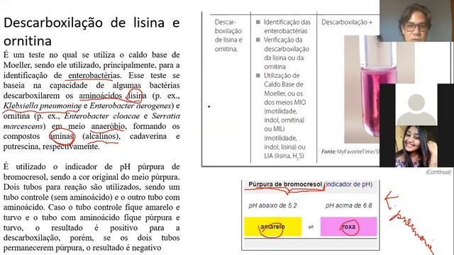 Microbiologia clínica revisão 04 05 20 parte 2 смотреть онлайн