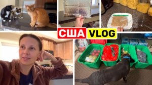 СШВ ВЛОГ  МУЖСКИЕ РАДОСТИ. ОТКЛЮЧИЛА КОМЕНТАРИИ? РЕВИЗИЯ РОЖДЕСТВЕНСКАЯ