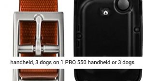 Garmin PT10 Dog Device Red Collar (Pro 70/Pro 550) Overview