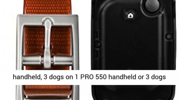 Garmin PT10 Dog Device Red Collar (Pro 70/Pro 550) Overview
