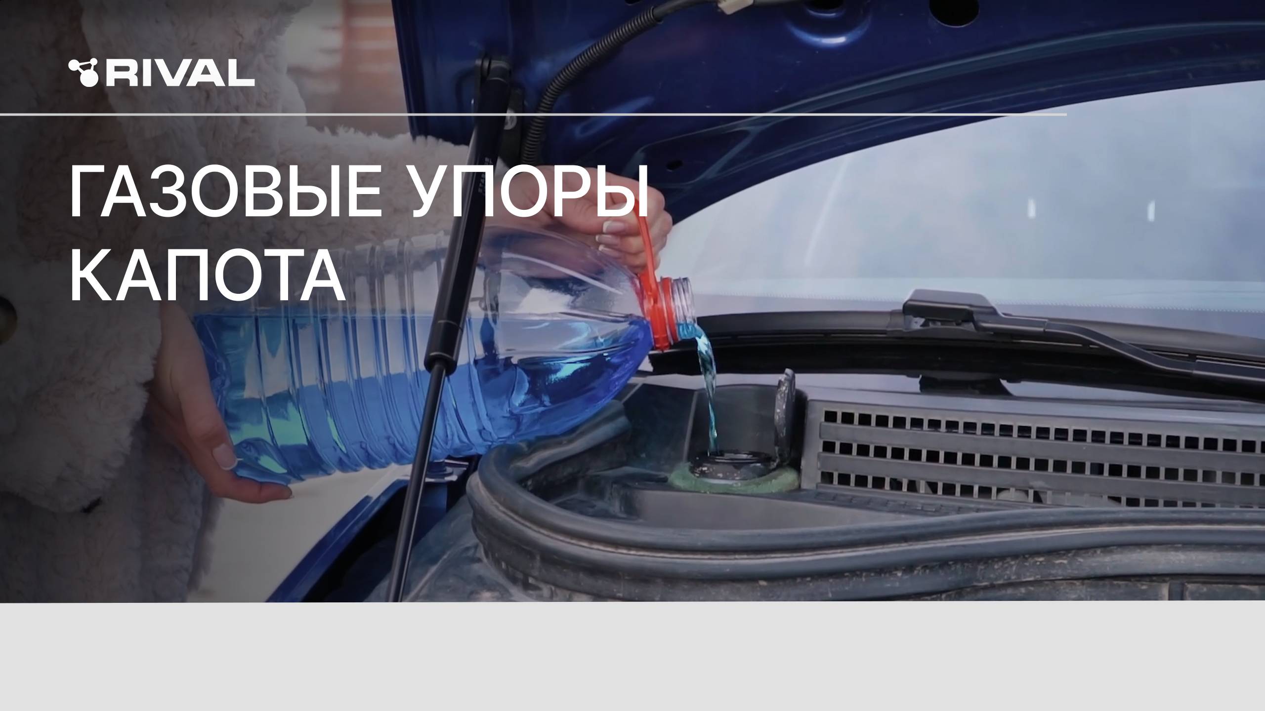 Газовые упоры капота RIVAL смотреть онлайн