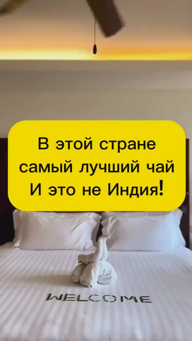 В КАКОЙ СТРАНЕ САМЫЙ ЛУЧШИЙ ЧАЙ? смотреть онлайн