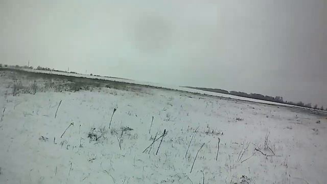 Охота на зайца с собакой смотреть онлайн