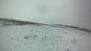 Охота на зайца с собакой