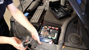 VW Tiguan Xenon Lampe wechseln | Change xenon lamp | VitjaWolf  | Tutorial | HD