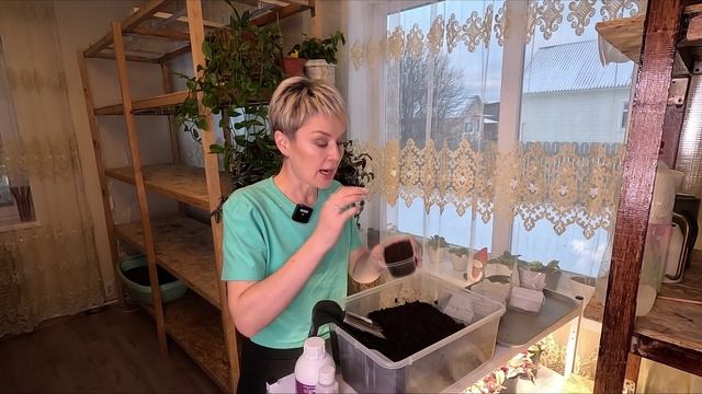 ПОСЕВ СЕМЯН ЦВЕТОВ НА РАССАДУ В НОВОМ СЕЗОНЕ.2025 смотреть онлайн