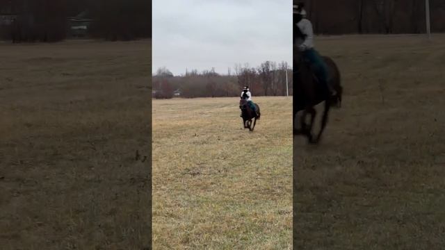 все живы. 🤭