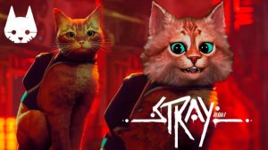 ИСТОРИЯ ЖИЗНИ КОТИКА в Stray Прохождение часть 1 - В поиске друзей Весёлый Кот