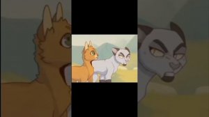 #Коты_Воители