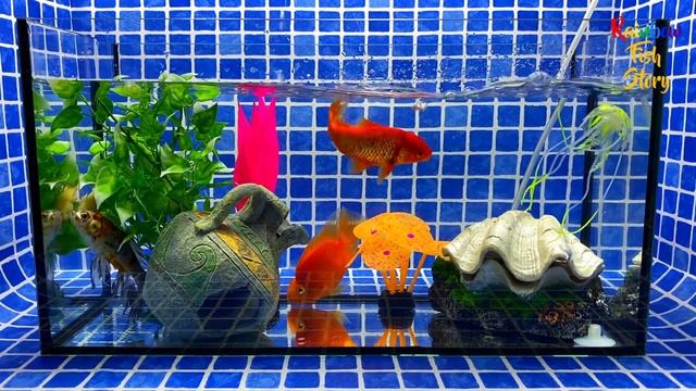 Surprise Eggs | Jellyfish, Parrotfish, Frog, Goldfish, Koi, Red Carp, Clam, Pearls