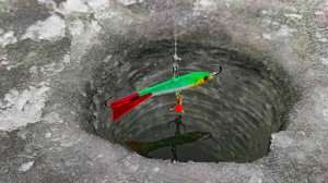 ЭТОТ БАЛАНСИР СДЕЛАЛ ВСЮ РЫБАЛКУ!!! ЗЛЫЕ УДАРЫ В РУКУ! Зимняя рыбалка. Эхолот Калипсо. Рыбалка 2025