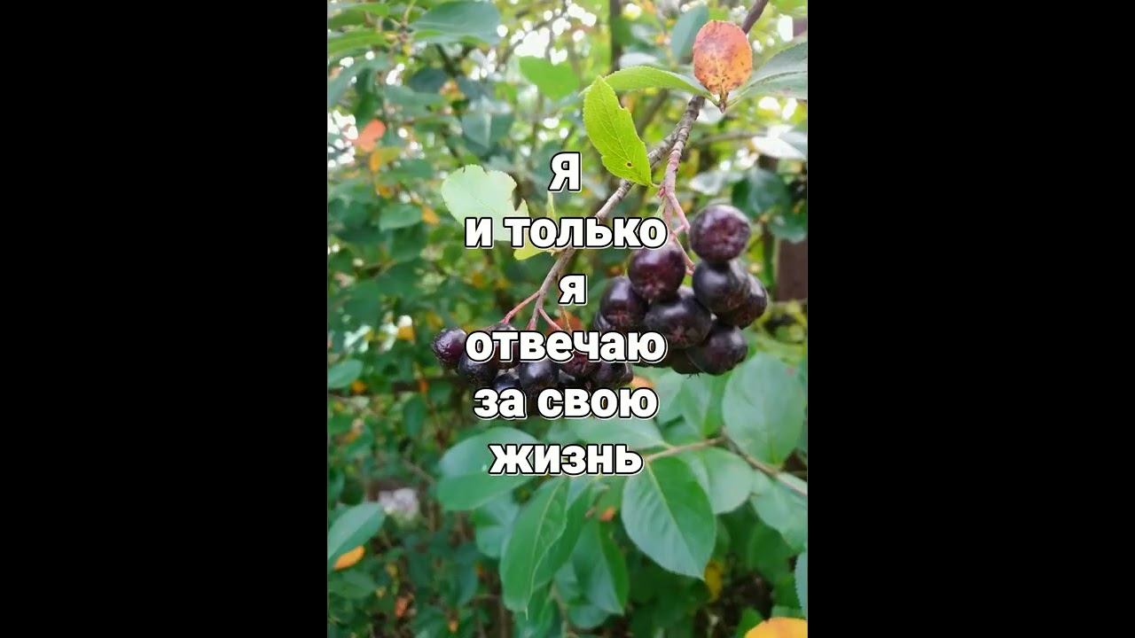 29 сентября 2022 г.