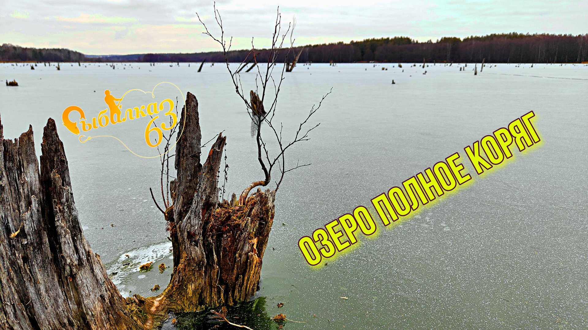 ОЗЕРО ПОЛНОЕ КОРЯГ, ПОСМОТРИМ КТО ТУТ ЭХОЛОТОМ Calypso. ЭТО ПЕРВОЛЕДЬЕ ИЛИ ГЛУХОЗИМЬЕ? смотреть онлайн