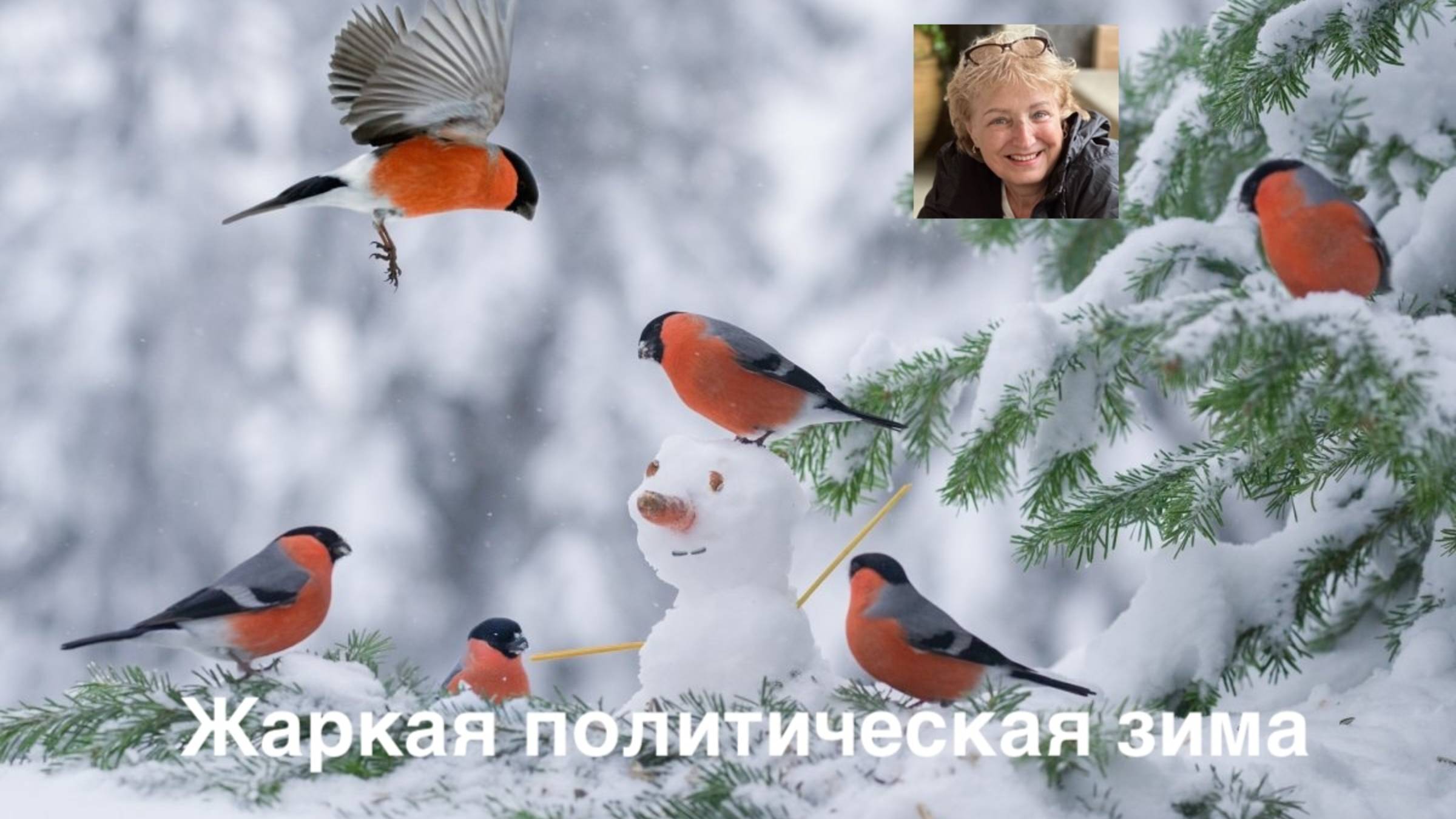 Жаркая политическая зима смотреть онлайн