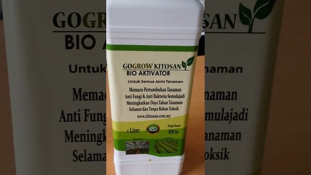 Baja chitosan malaysia terbaik, murah & selamat смотреть онлайн