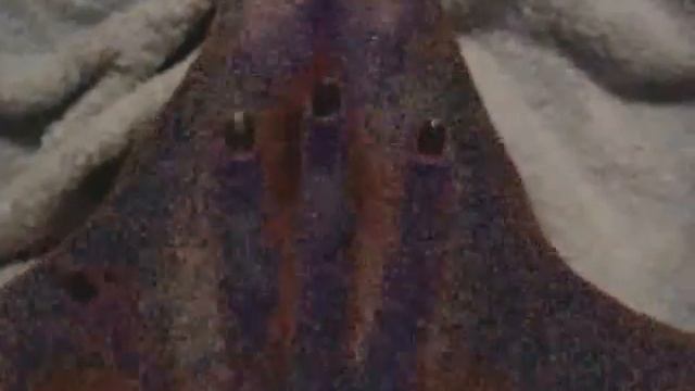 мечтательные пальчики смотреть онлайн