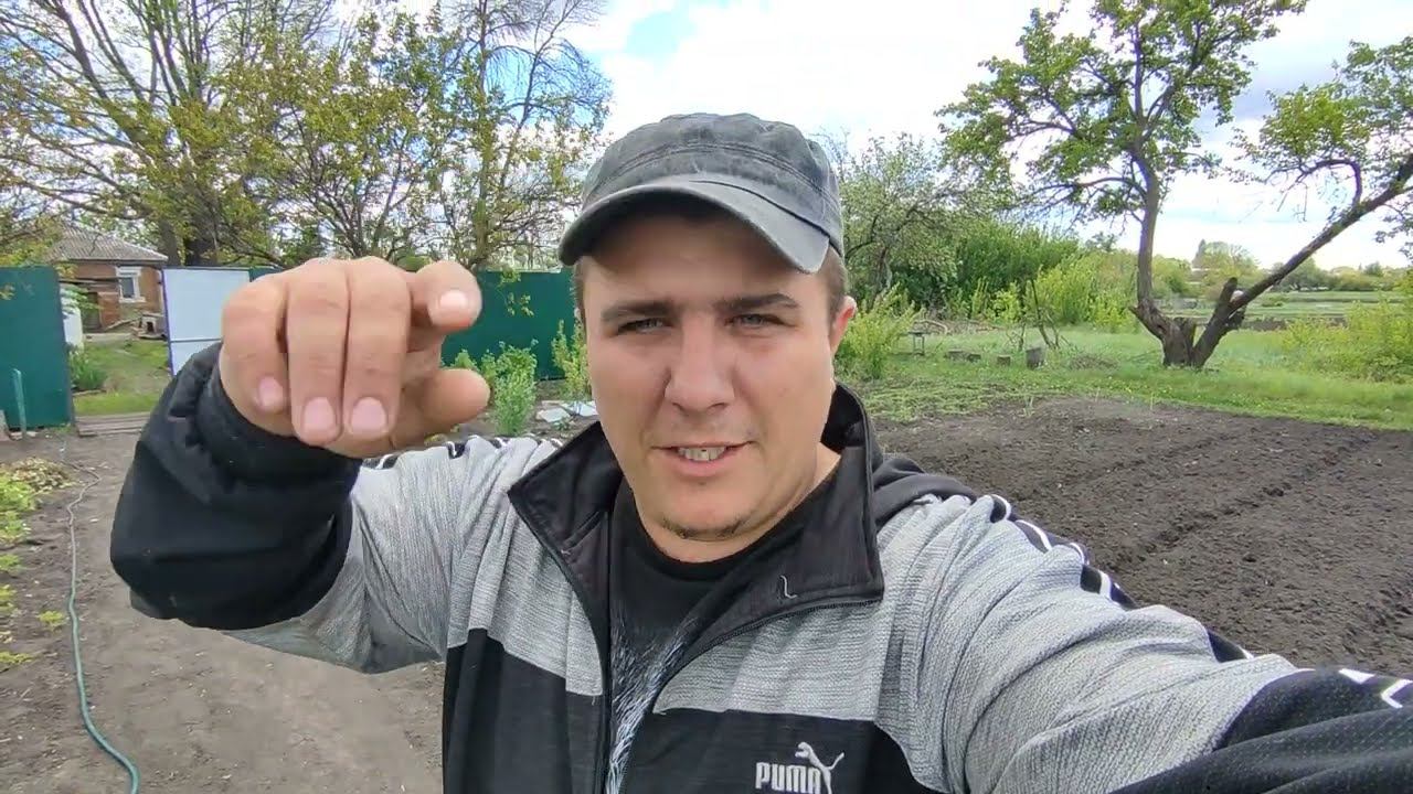 Всходы горчицы после посадки под фрезы мотоблока! смотреть онлайн