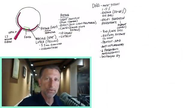 Знания в движении