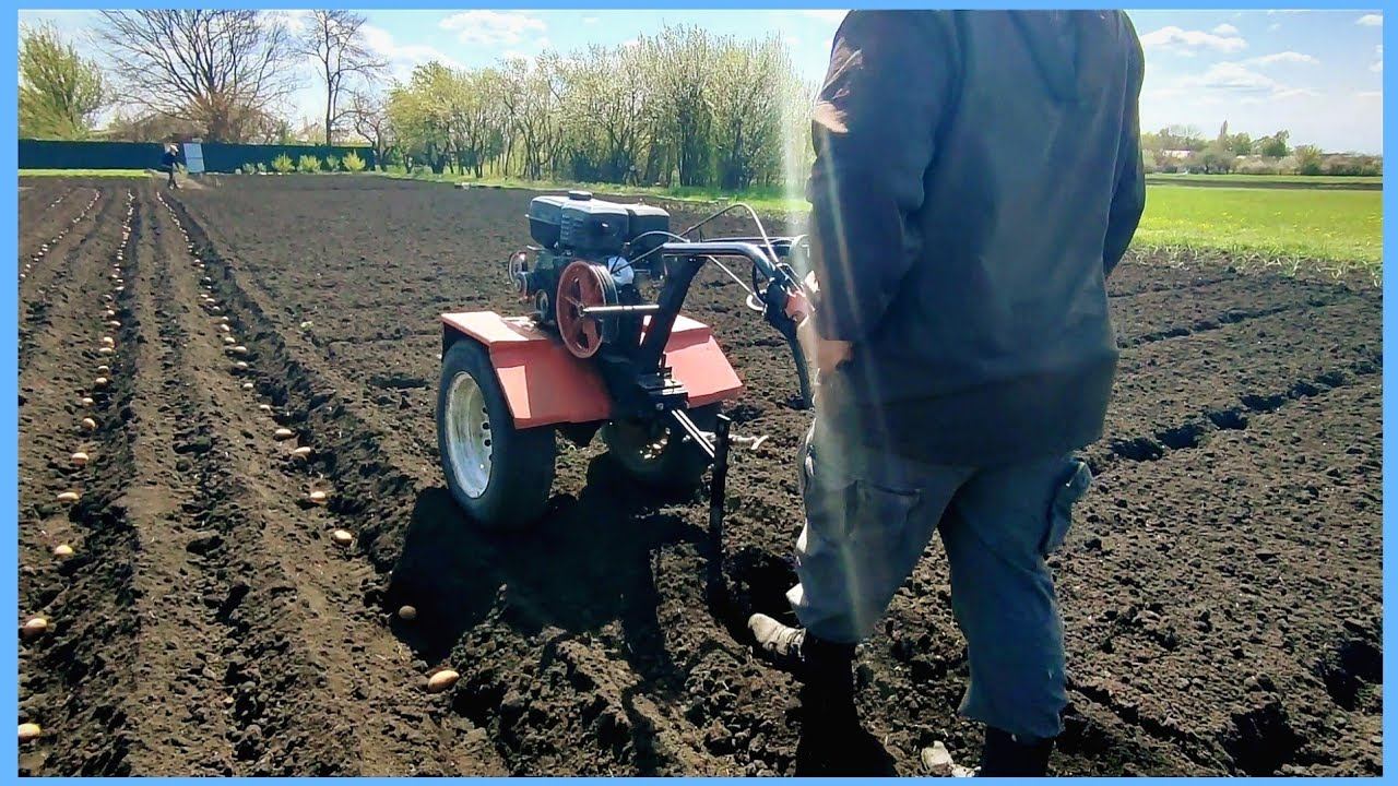Посадка картошки под мотоблок!!! Огородный сезон 2022!! смотреть онлайн