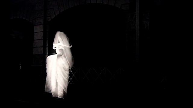Classical guitar in B&W: Anniversary Song by Ivanovici, Ion смотреть онлайн