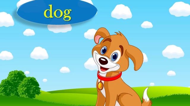 Animals vocabulary смотреть онлайн