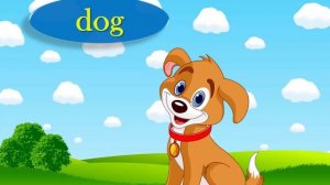 Animals vocabulary
