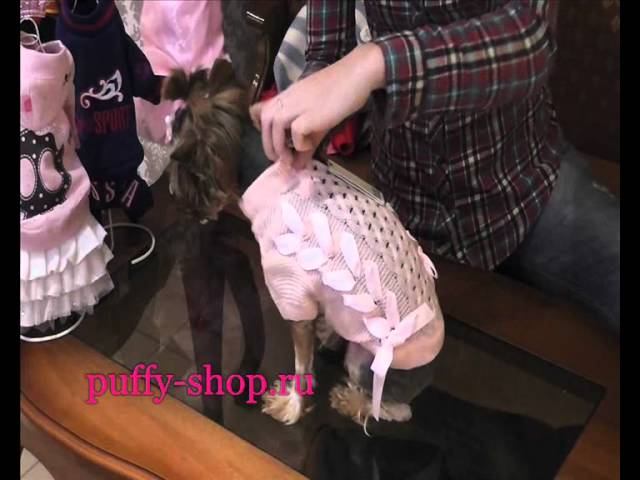 Свитер для собак Is Pet Ленточки смотреть онлайн