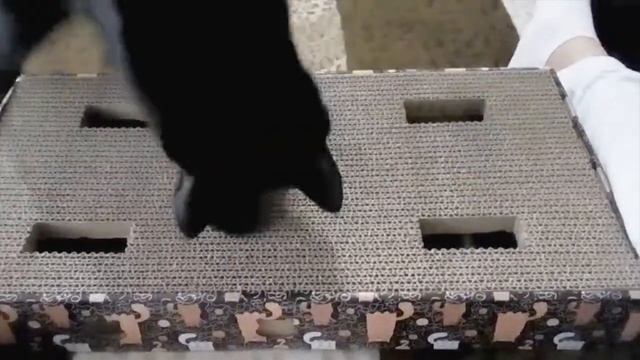 Игрушка-когтеточка из Фикс Прайса.