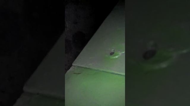 Портативный адронный коллайдер (котёл) смотреть онлайн