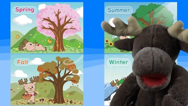Seasons _ Talking Flashcards - Maple Leaf Learning смотреть онлайн