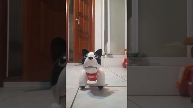 Робот собака ДЮК SiLVerLit