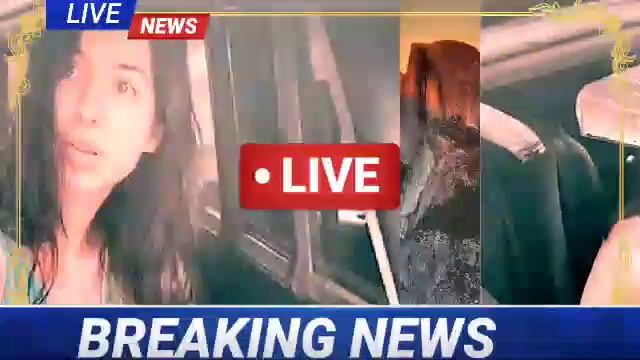 Denise Frazier Dog Video Watch Live Denise Frazier Dog Video Link