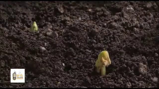 Очень красивые весна смотреть онлайн