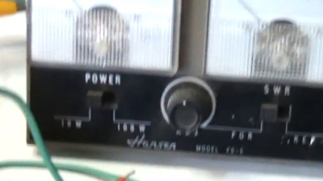 Aidas replication.mpg