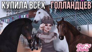 У МЕНЯ ВСЕ ГОЛЛАНДЦЫ?! ПОКУПКА || СКИДКИ || Star Stable Online
