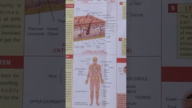 #Human biology।। human #sensory organs by Khan sir #khan sir motivational #neet #shortvideo смотреть онлайн