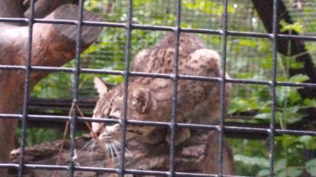 12 июля 2020 г. смотреть онлайн