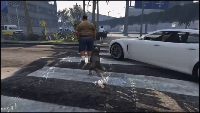 Хатико смотреть онлайн