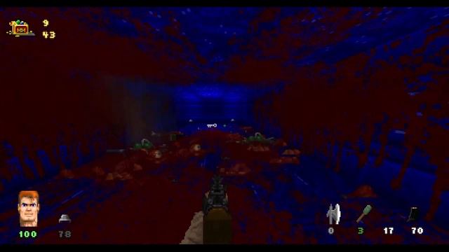 Brutal Wolfenstein E6M8 Showcase